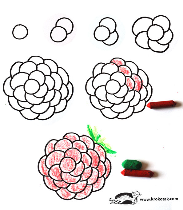 595x683 krokotak how to draw raspberry, blackberry, grapes - Blackberry Drawing