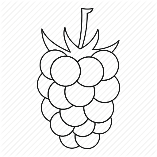 512x512 blackberry drawing free download on unixtitan - Blackberry Drawing