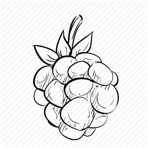 512x512 blackberry, delicious food, drawn, fruit, hand icon - Blackberry Fruit Drawing