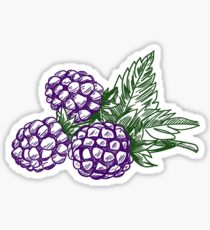 210x230 blackberry fruit drawing stickers redbubble - Blackberry Fruit Drawing