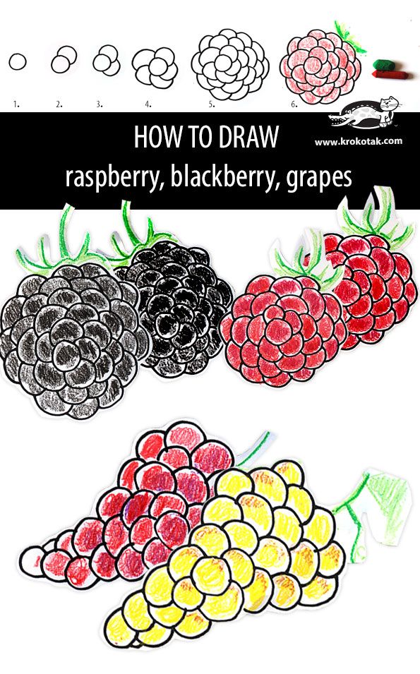 595x955 how to draw raspberry, blackberry, grapes artsy color draw - Blackberry Fruit Drawing