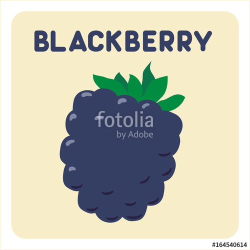 500x500 isolated blackberry in style hand drawing stock image - Blackberry Fruit Drawing