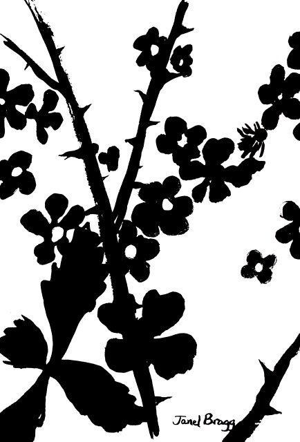 434x640 blackberry bush painting - Blackberry Plant Drawing