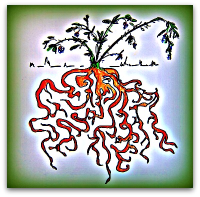 400x394 brambles gone wild how to remove blackberries - Blackberry Plant Drawing