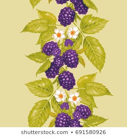 260x280 huge collection of 'blackberry plant drawing' download more than - Blackberry Plant Drawing