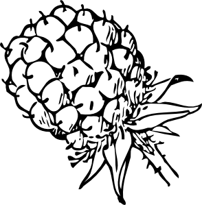 294x299 blackberry drawing simple huge freebie! download for powerpoint - Blackberry Plant Drawing