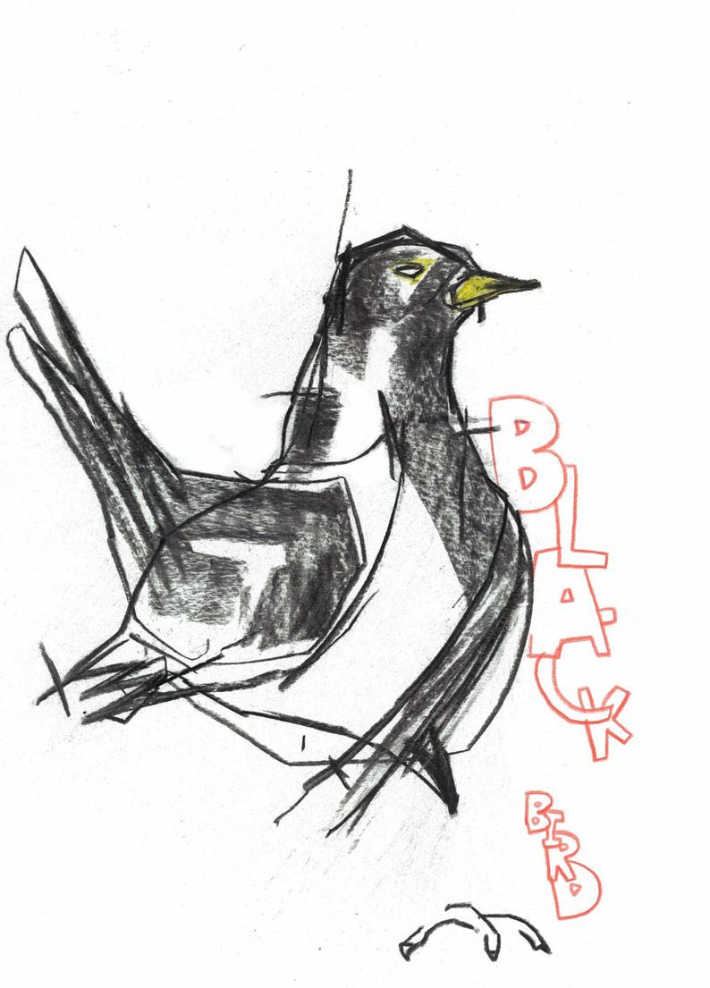 794x1105 Original Abstract Drawing Of A Blackbird Etsy - Blackbird Drawing