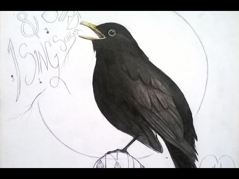 480x360 Speed Drawing - Blackbird Drawing