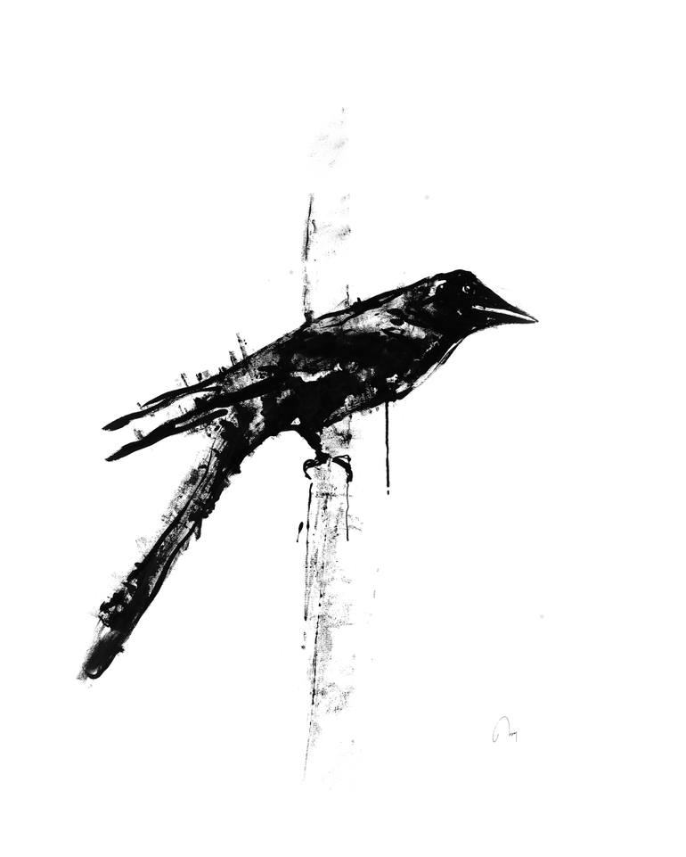 770x961 Black Bird Ii Drawing - Blackbird Drawing