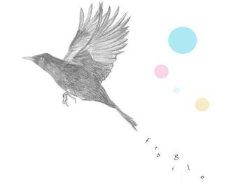340x270 Blackbird Drawing - Blackbird Drawing