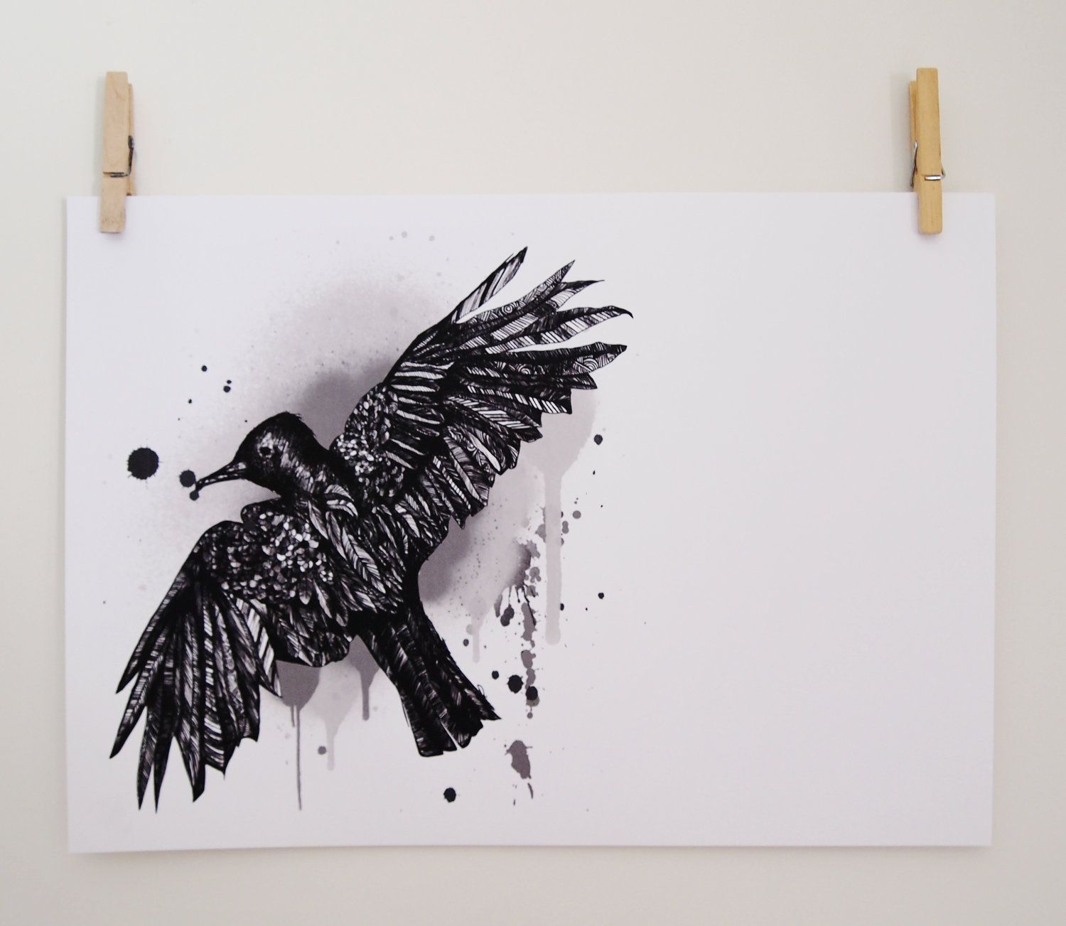 Blackbird Drawing at Explore collection of