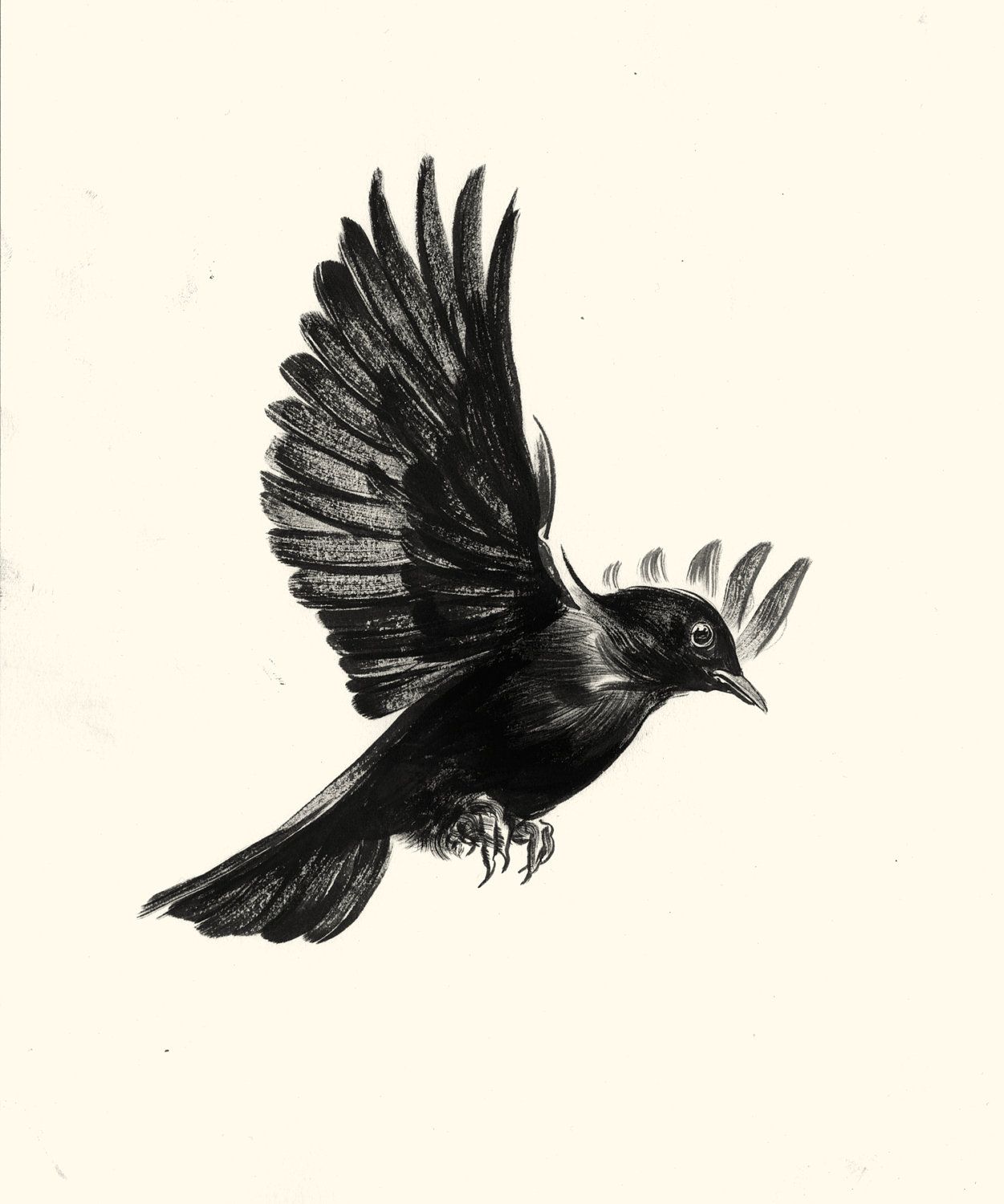 1251x1500 Flying Blackbird Drawing - Blackbird Drawing