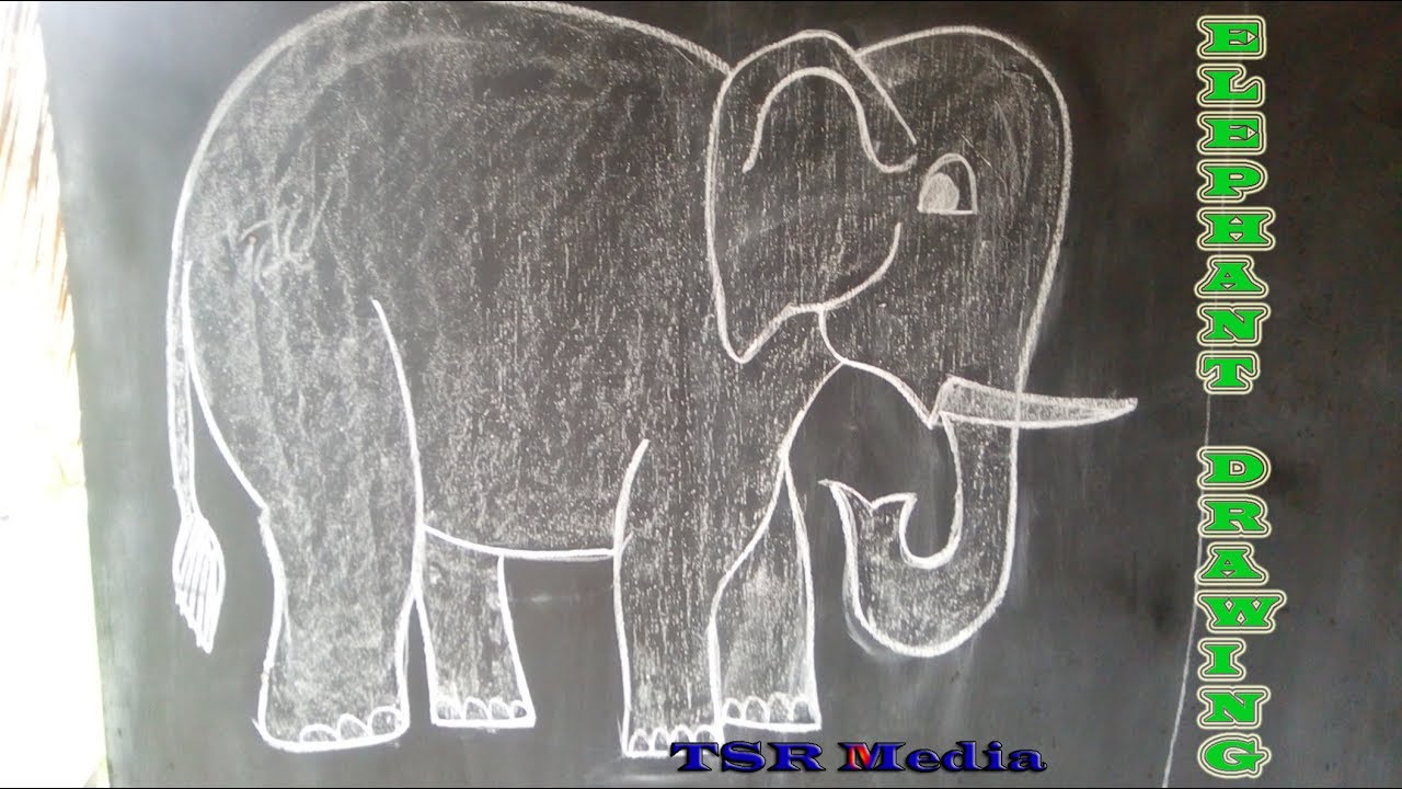 1280x720 elephant drawing blackboard drawing animals drawing kids - Blackboard Drawing