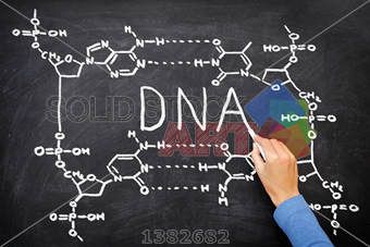 340x227 stock photo of dna blackboard drawing hand drawing chemical - Blackboard Drawing