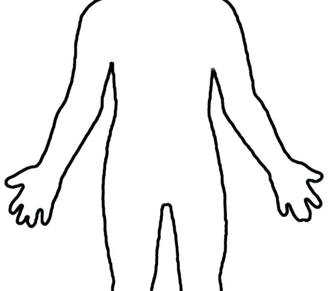 Female Outline Human Body Diagram Female Body Silhouette Front Clip