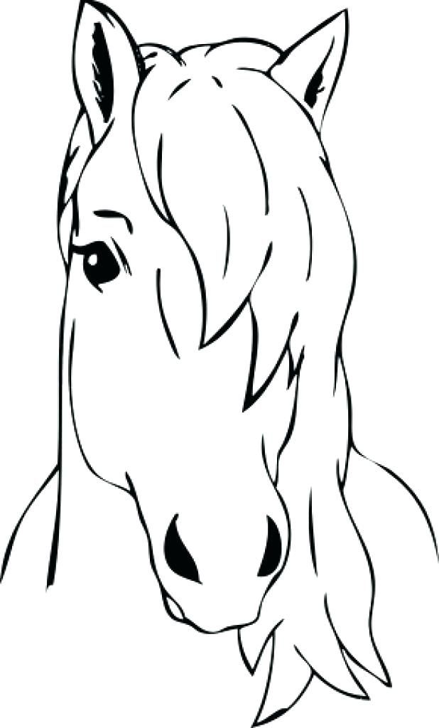 618x1024 Horse Faces Drawings Horse Head Coloring - Blank Face Drawing