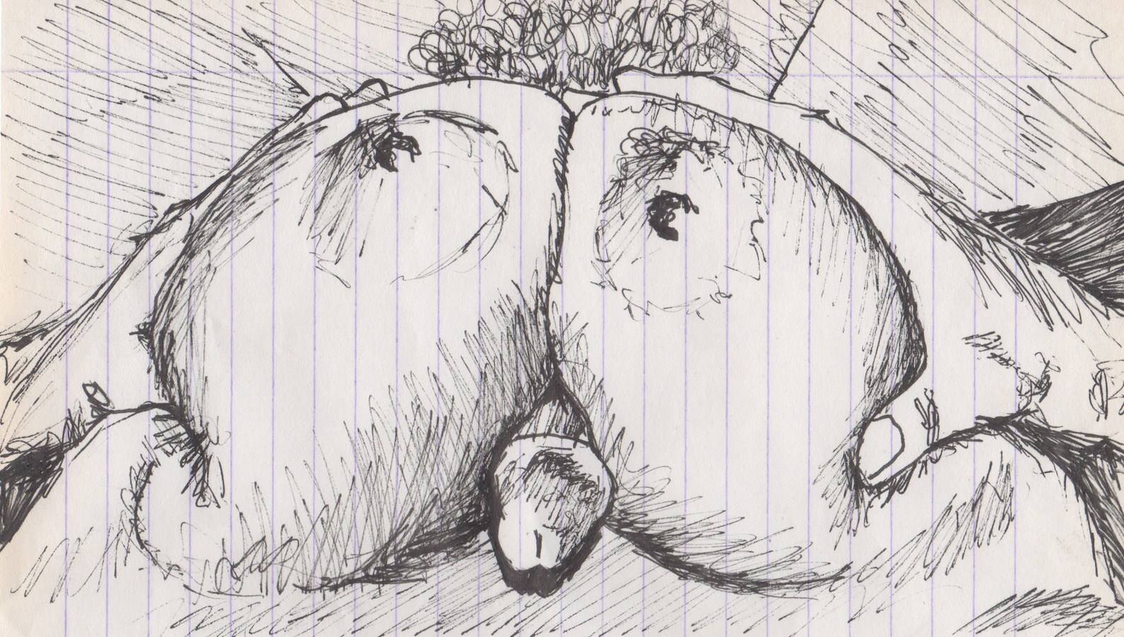 Pig In A Blanket Daily Dirty Drawing - Blanket Drawing. 