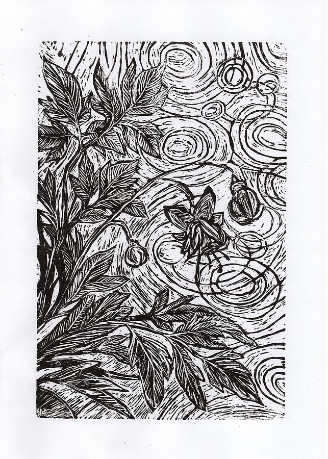 643x900 Bleeding Heart Drawing - Bleeding Heart Drawing