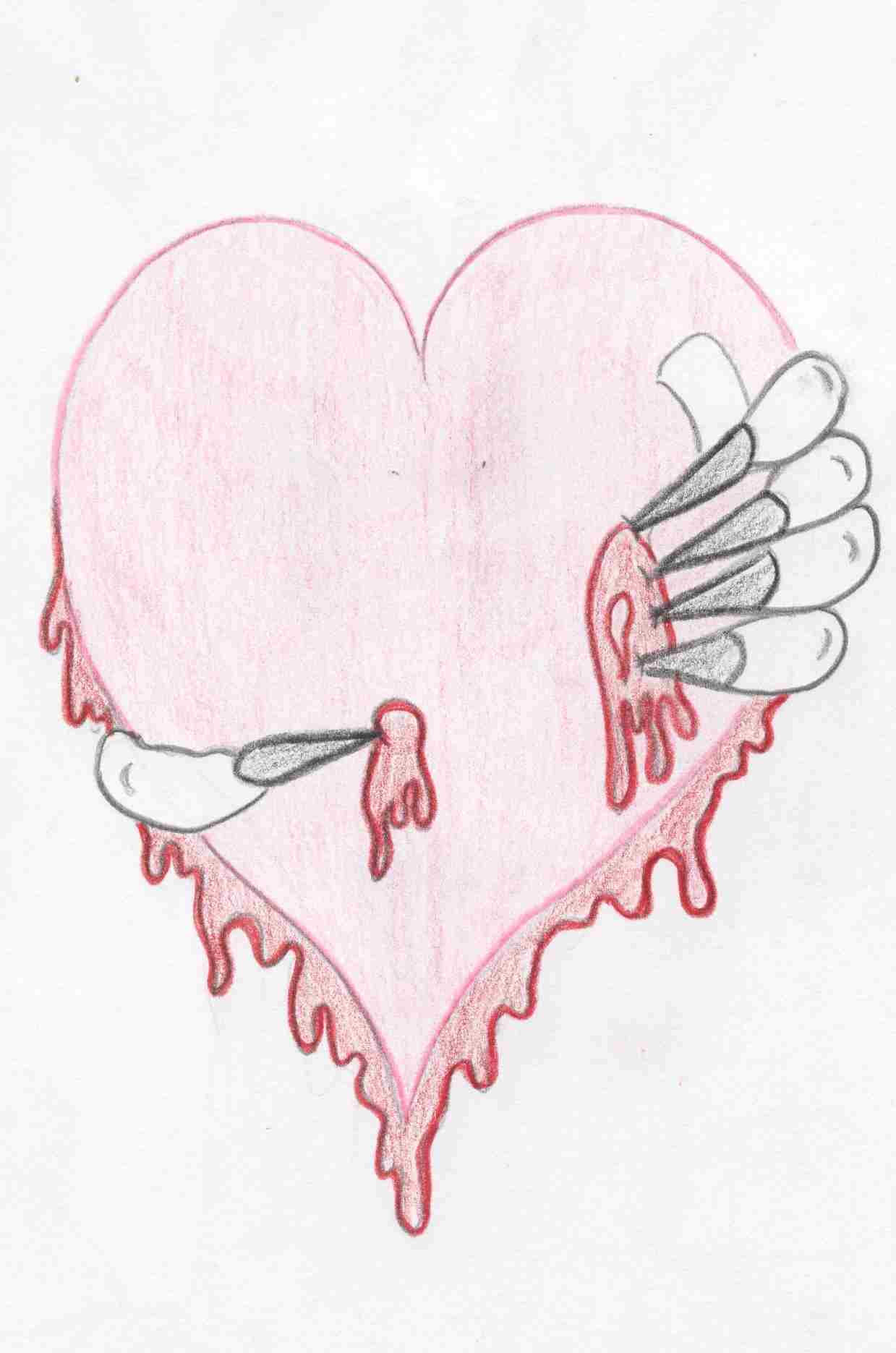 1239x1871 pencil at getdrawingscom for personal rhgetdrawingscom human - Bleeding Heart Drawing