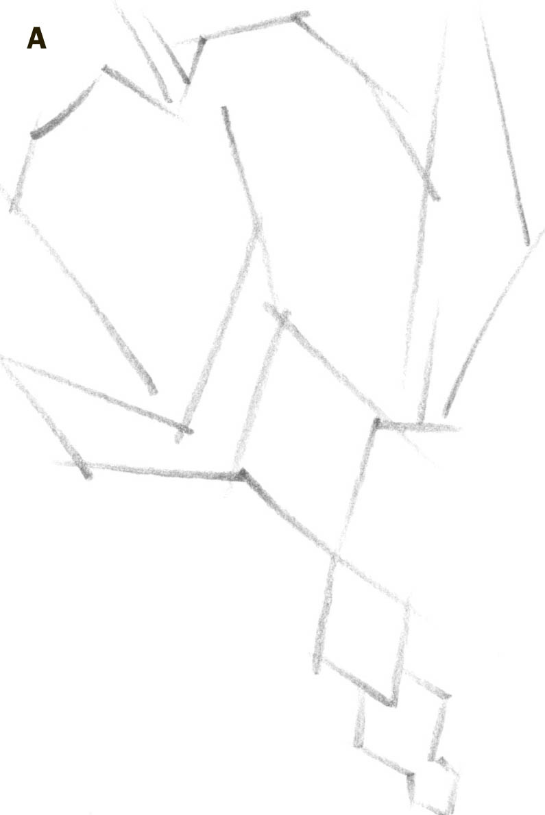 795x1190 Bleeding Heart - Bleeding Heart Drawing