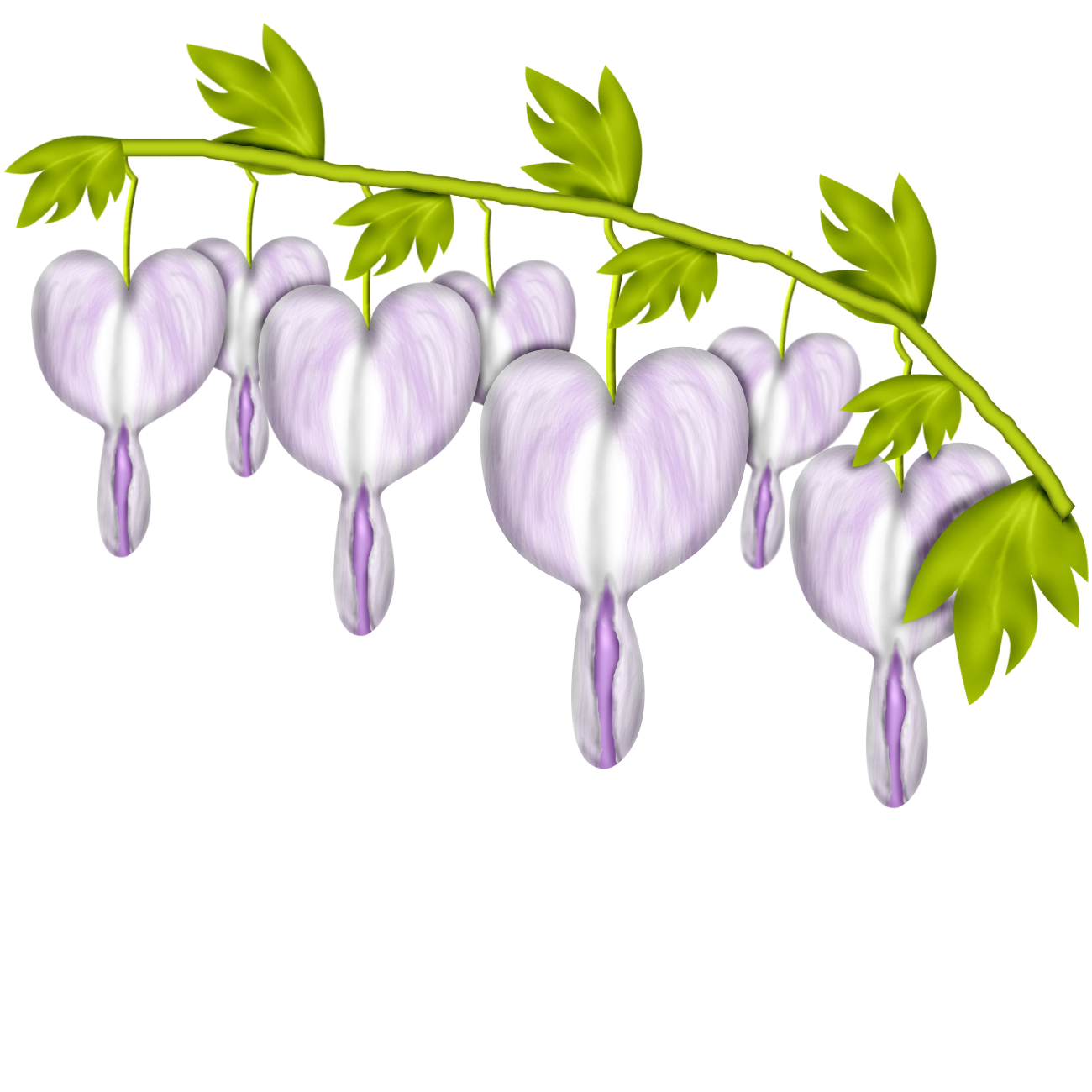 1300x1300 bleeding heart flower drawing pictures and cliparts, download free - Bleeding Heart Flower Drawing