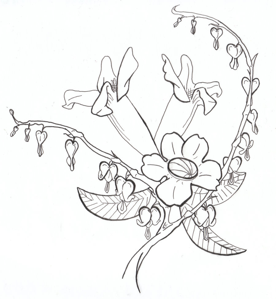 900x974 awesome bleeding heart flower sketch - Bleeding Heart Flower Drawing