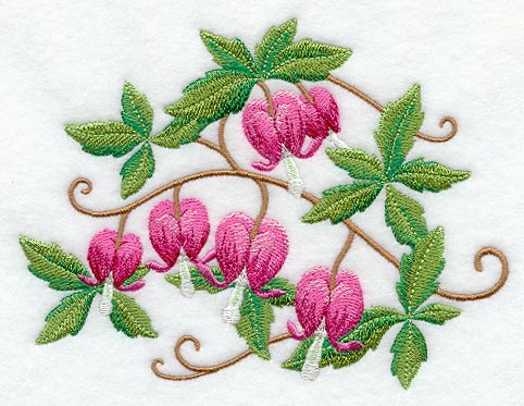 482x373 Machine Embroidery Designs - Bleeding Heart Flower Drawing