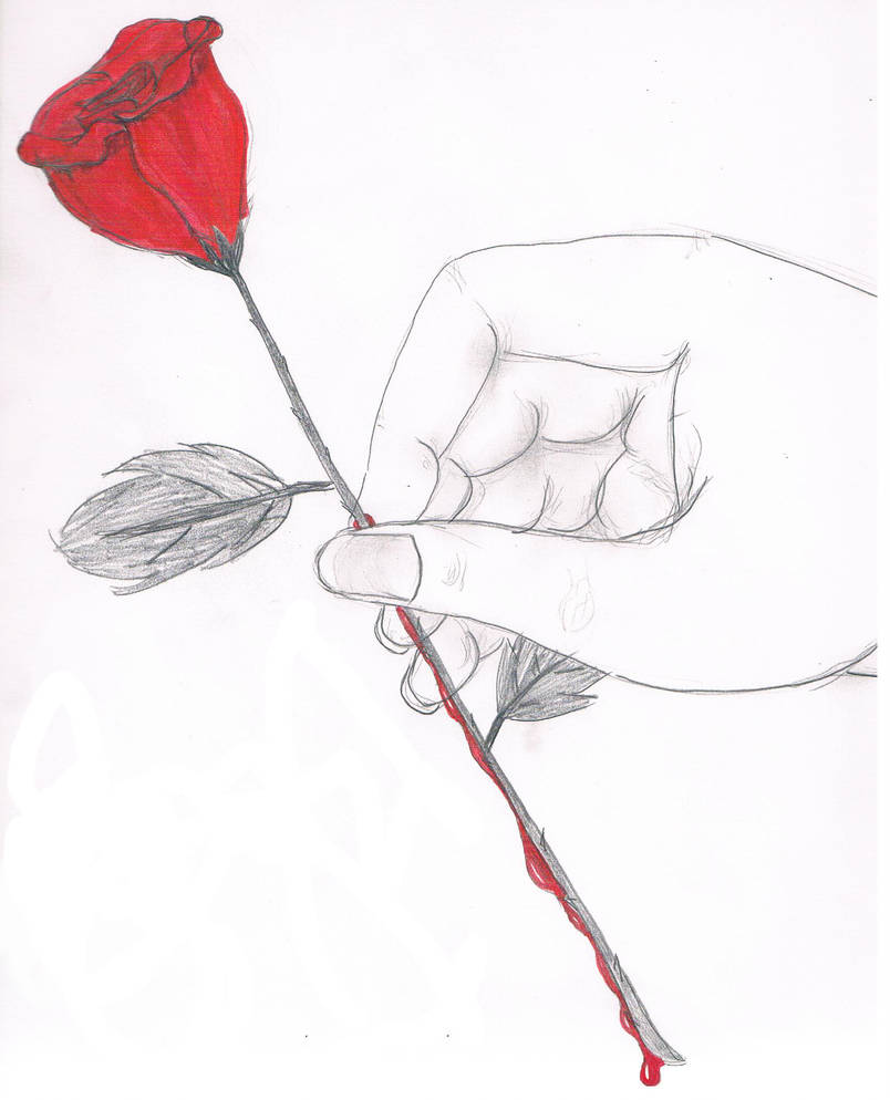 804x994 Bleeding Rose - Bleeding Rose Drawing