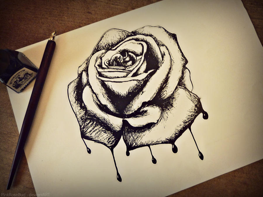 900x675 Bleeding Rose - Bleeding Rose Drawing