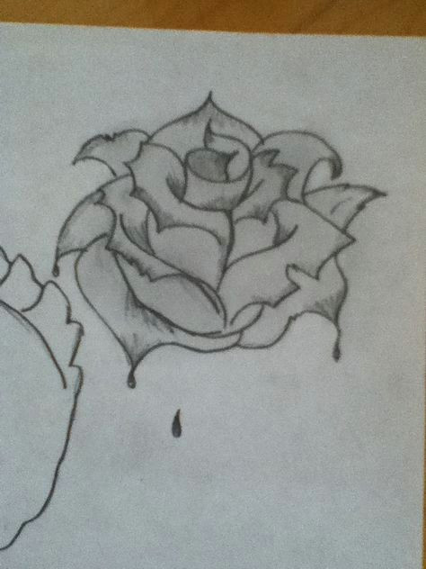 474x632 Drawings Of Bleeding Roses Troller Us - Bleeding Rose Drawing