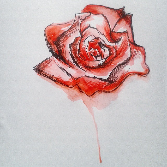 640x640 Hannah Krystina Added Some Water To My Previous - Bleeding Rose Drawing