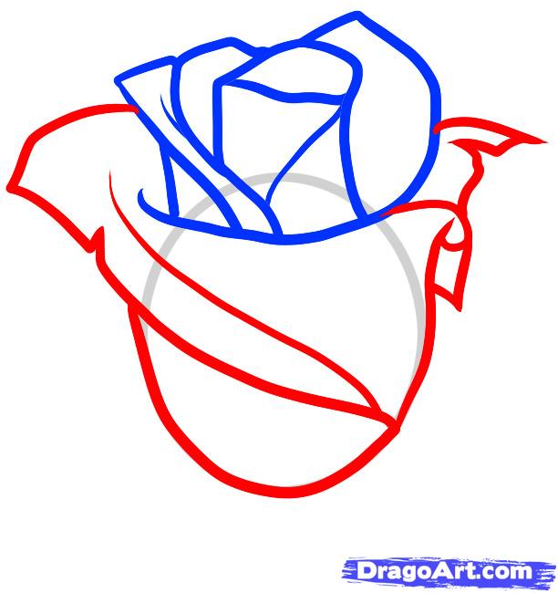612x650 How To Draw A Bloody Rose, Step - Bleeding Rose Drawing