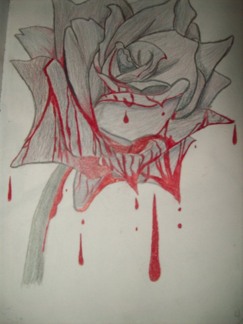Bleeding Rose Drawing Bleeding Rose - Bleeding Rose Drawing. 