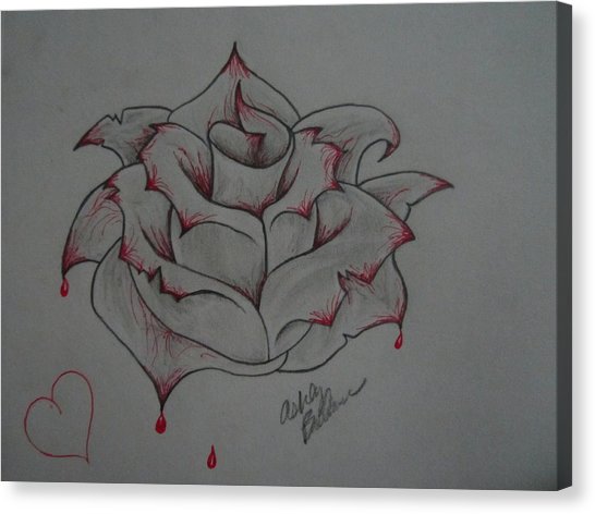 546x472 Bleeding Rose Drawing - Bleeding Rose Drawing