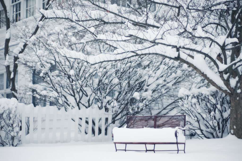 1024x681 Wallpaper Drawing, Snow, Artwork, Branch, Frost, Bench, Freezing - Blizzard Drawing
