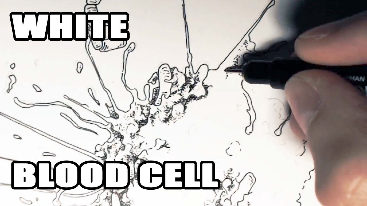 1280x720 drawing a white blood cell - Blood Cell Drawing