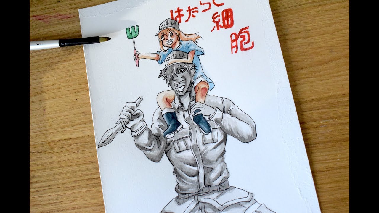 1280x720 drawing white blood cell and platelets from cells - Blood Cell Drawing