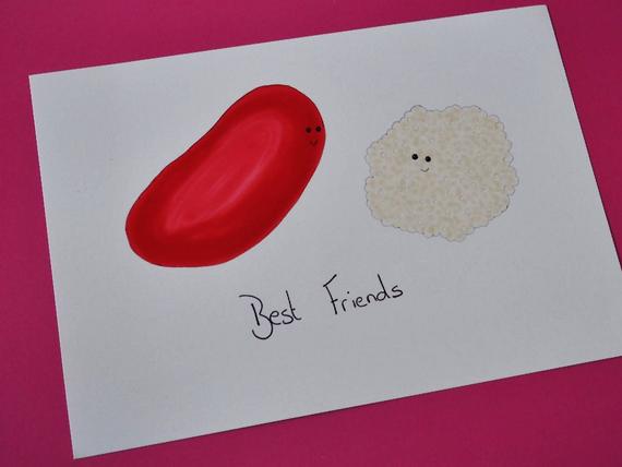 570x428 hand drawn blood cell illustration cute biology gift etsy - Blood Cell Drawing