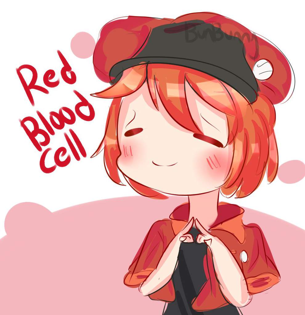 990x1024 red blood cell drawing! gijinka amino - Blood Cell Drawing