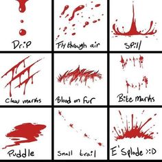 Blood Drawing Reference