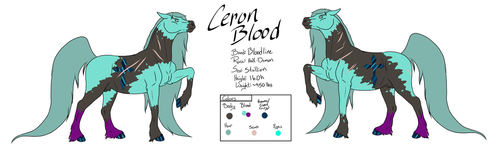 1600x491 Ceron Blood - Blood Drawing Reference