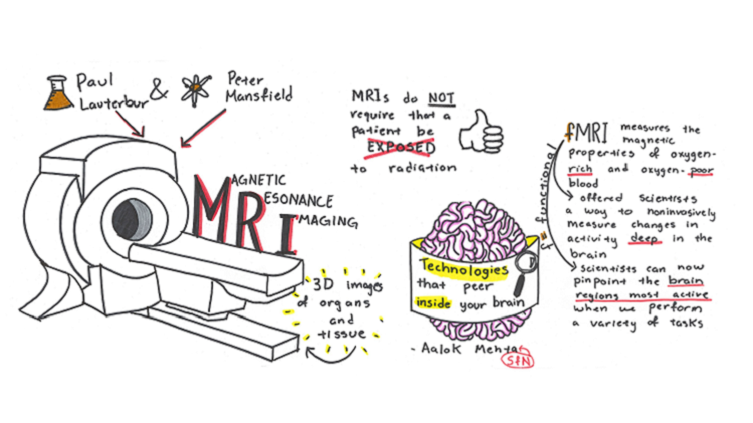 753x423 Sketch Your Neuroscience Notes - Blood Tissue Drawing