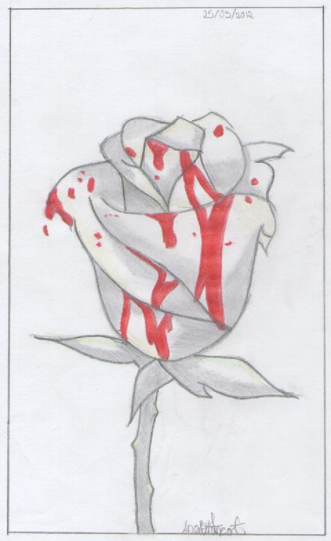 480x784 bloody rose drawing - Bloody Rose Drawing