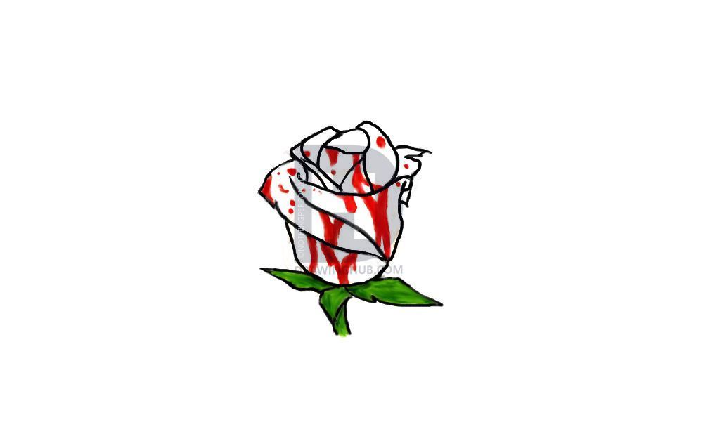 1000x618 bloody rose drawing - Bloody Rose Drawing