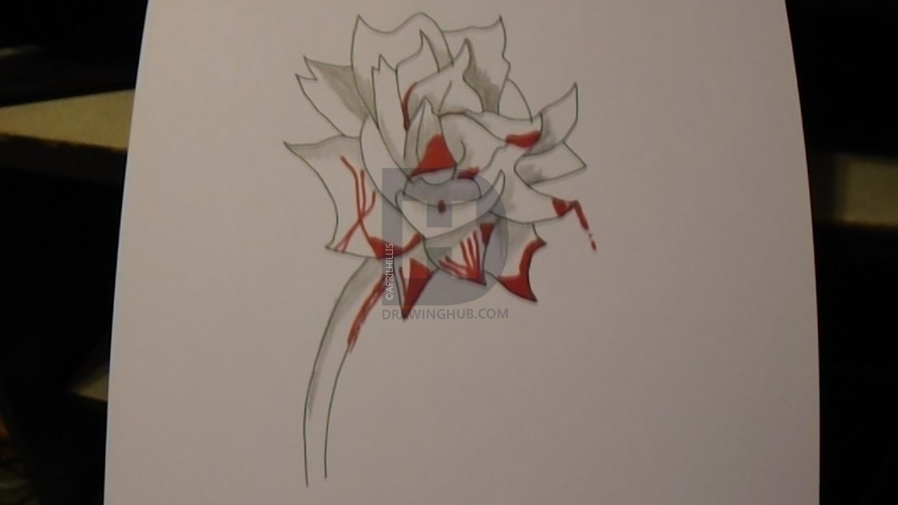 1280x720 bloody rose drawing - Bloody Rose Drawing