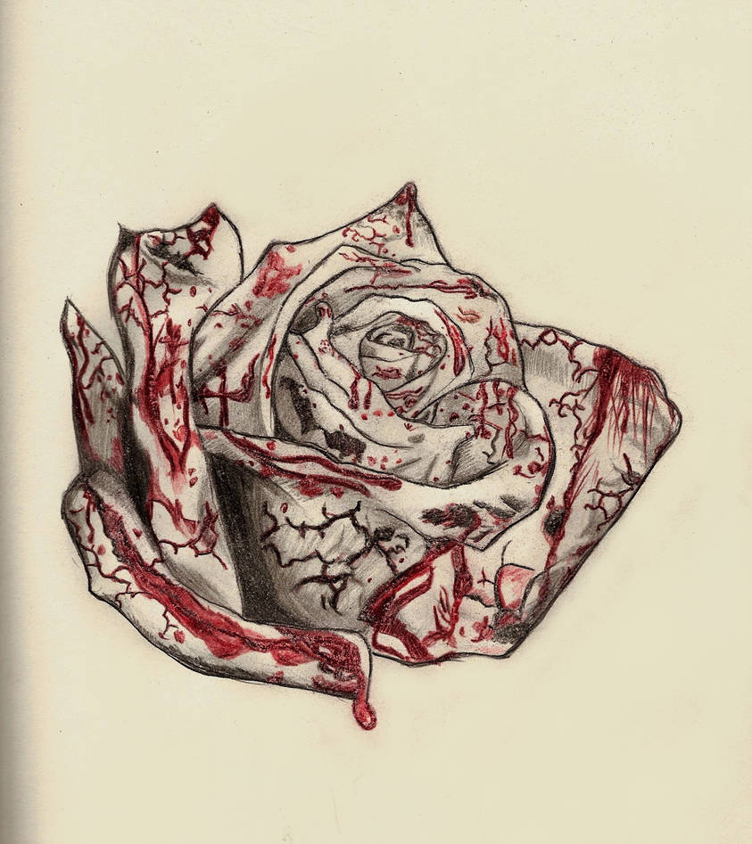 843x947 bloody rose - Bloody Rose Drawing