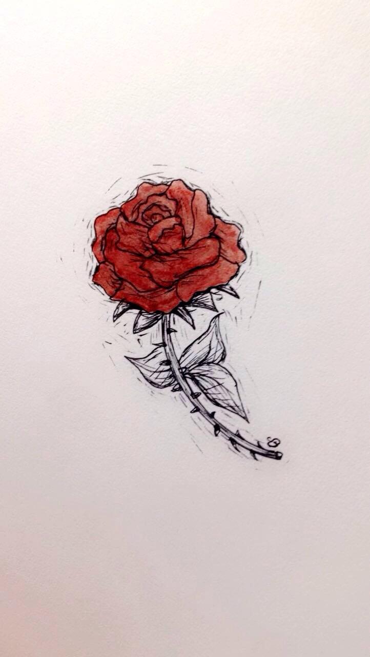 Bloody Rose Drawing at Explore collection of