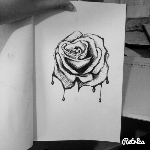 Bloody Rose Drawing at Explore collection of Bloody Rose Drawing