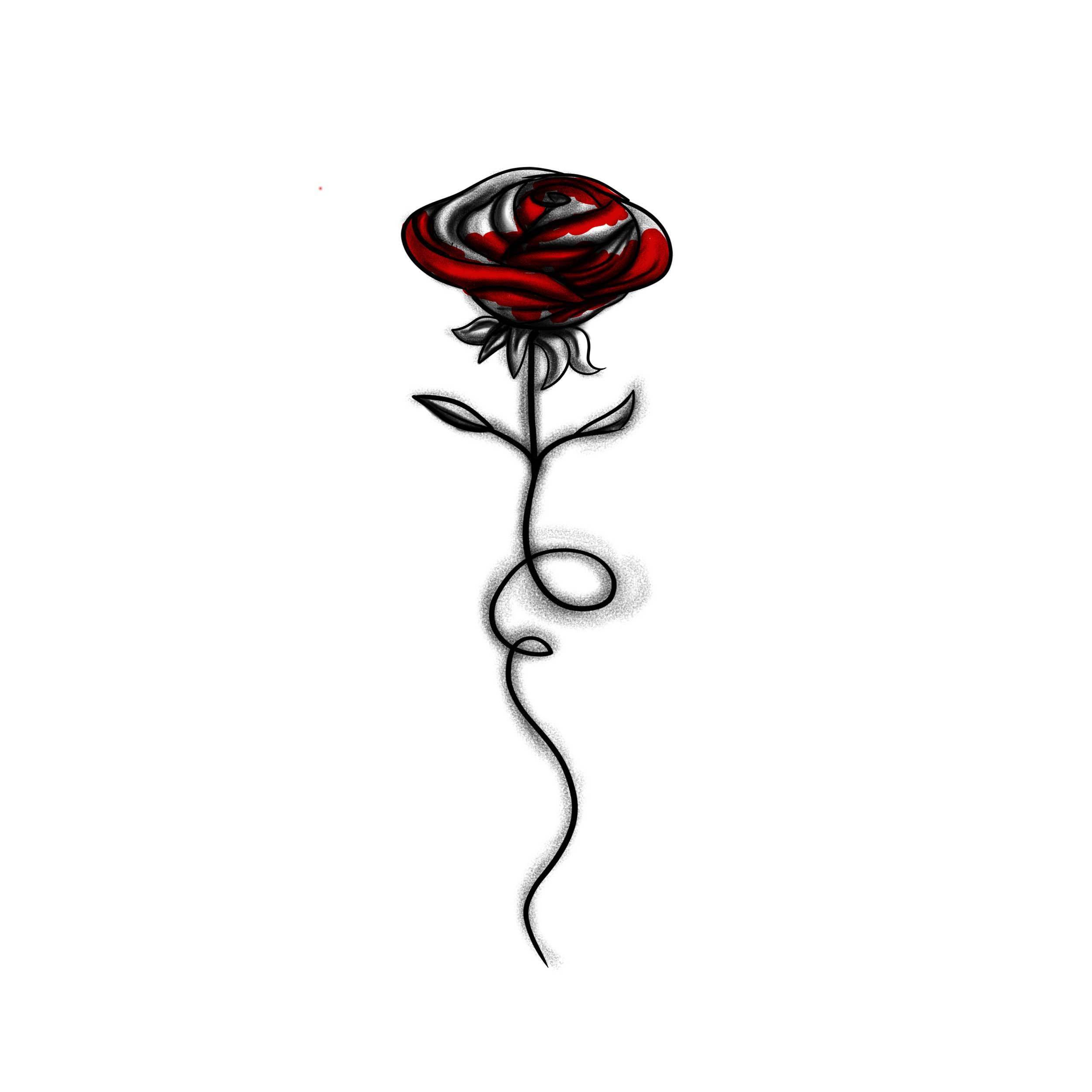 Bloody Rose Drawing at Explore collection of