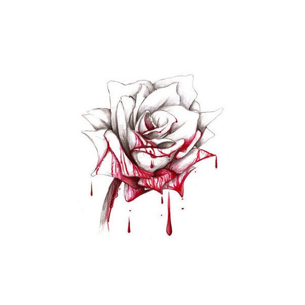 600x600 drawn bloody rose fairies and vampires liked on polyvore - Bloody Rose Drawing